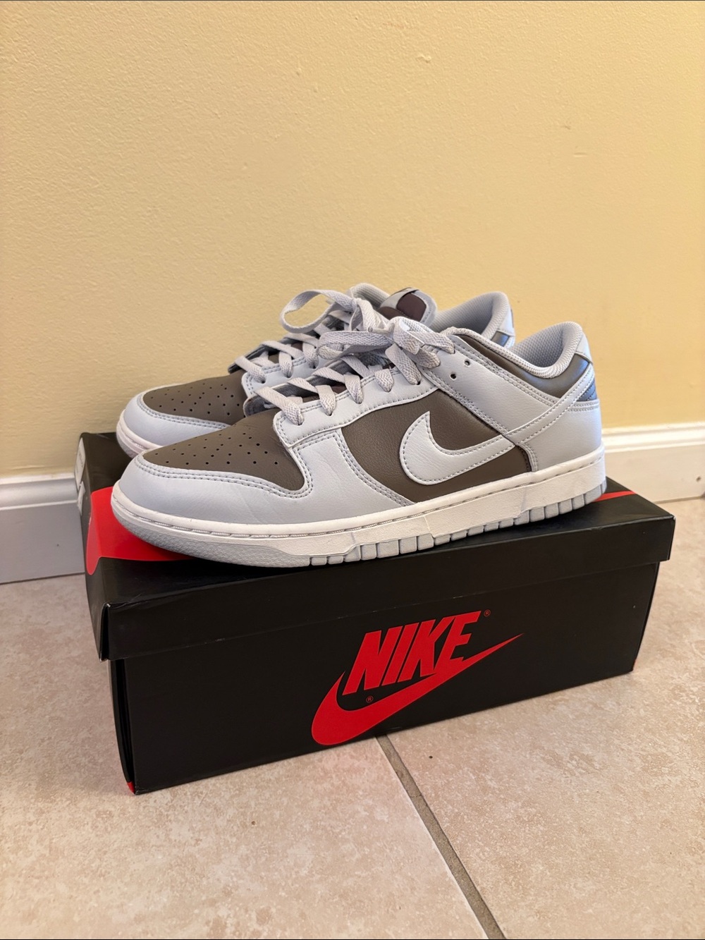 Nike Dunk Low in Gray and Taupe